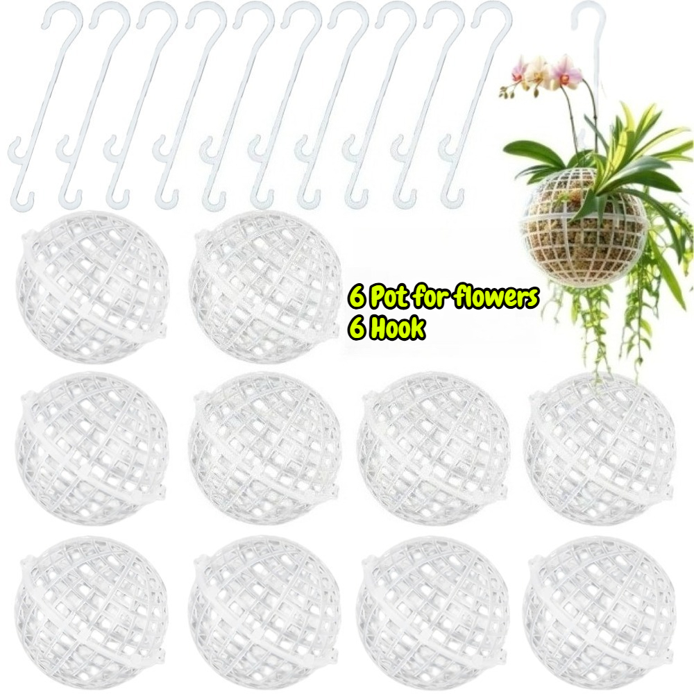 TEMU 12pcs Moss Pillar Planter Set (includes 6pcs Pots And 6pcs Hooks), 4-inch Plastic Wall-mounted Planters, Suitable For Indoor Plants, Orchids And