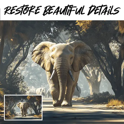 2d canvas wall art with wooden frame ready to hang decor for living room bedroom or dining room dining room decoration wildlife theme canvas elephant decor 2d flat room decor