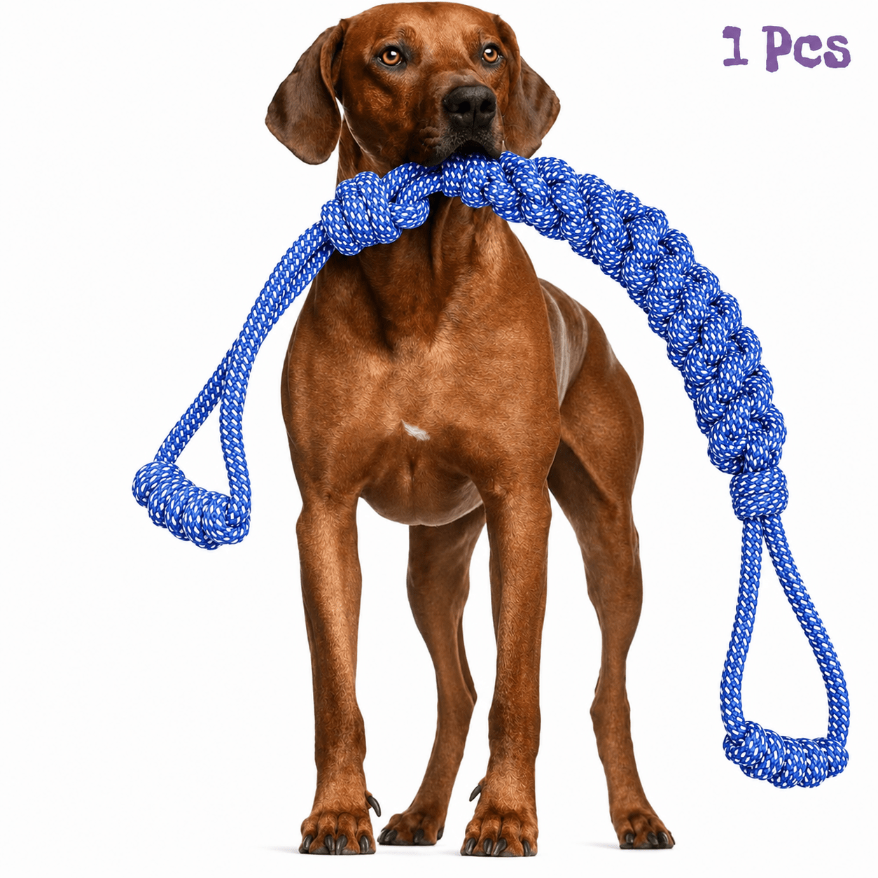 TEMU 1pc Unbreakable Dog Leash Chew Toy - Heavy Duty Chew Proof Leash For Medium/ Large Dogs, Aggressive Chewer Toy With Teeth Cleaning, Tug Of War