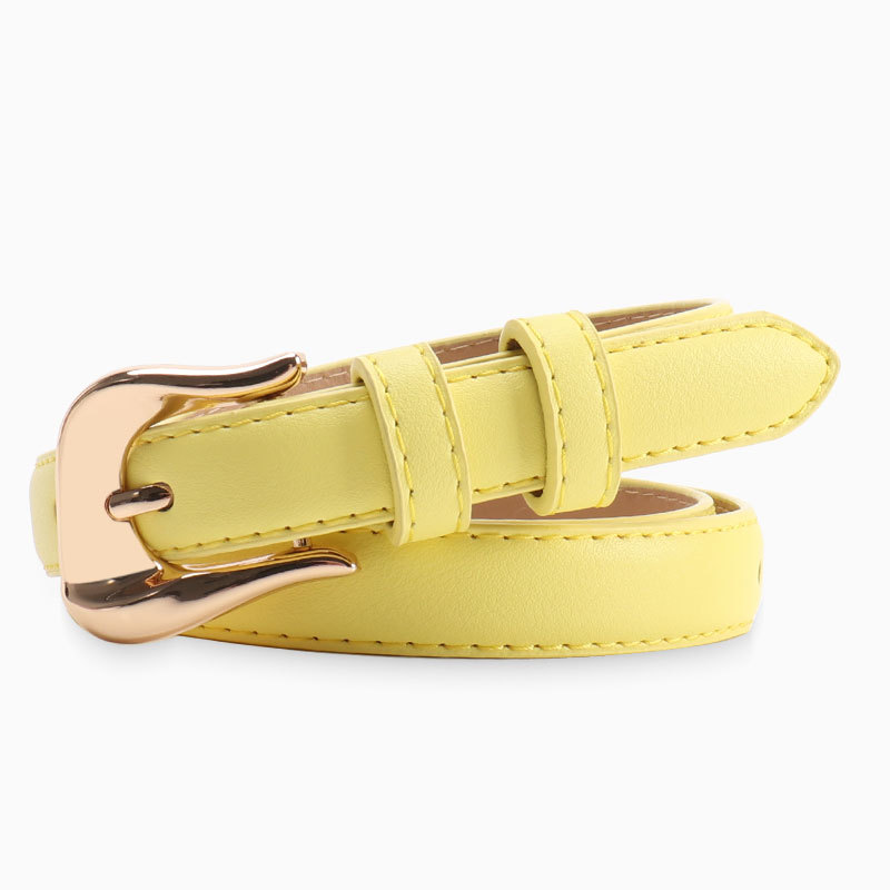 Image of 1pc New Fashionable Women's Belt Summer New Versatile High-end Belt Women's Niche Design Needle Belt With Jeans Belt