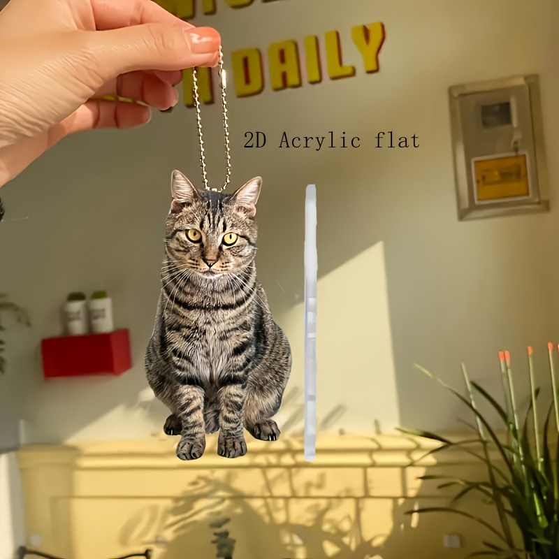TEMU 2d Flat, An Acrylic 2d Pendant, Used For Interior Decoration, Creative Keychain Charm, Party Accessory, Holiday Pendant, Phone Case And Backpack