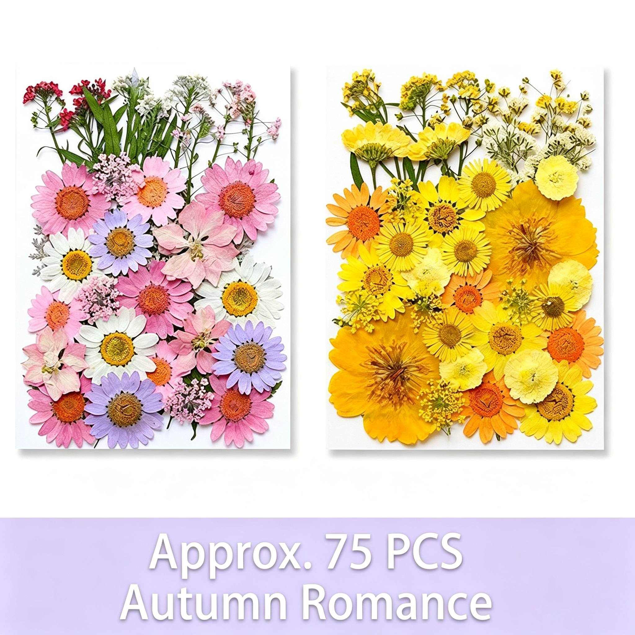 TEMU Set di 75-80 pezzi di fiori e foglie pressati essiccati vivaci - Kit di decorazione ispirato alla per artigianato, gioielli in resina,