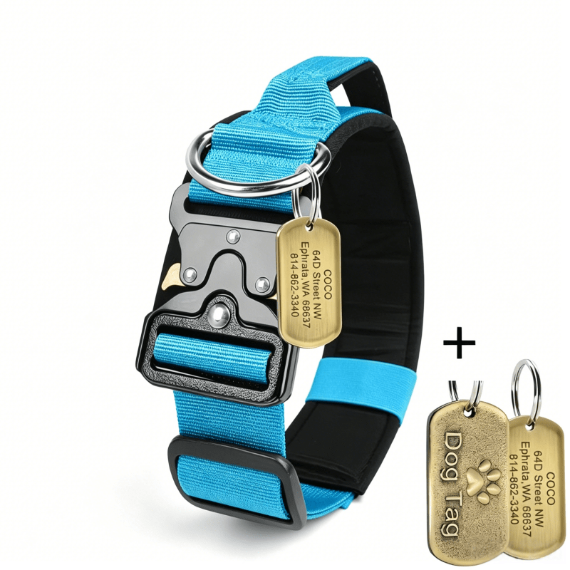 TEMU Tactical Dog Collar Custom Lettering Anti-loss Card Set Thickened Nylon Protective Punch Collar Special Comfortable And Breathable Adjustable