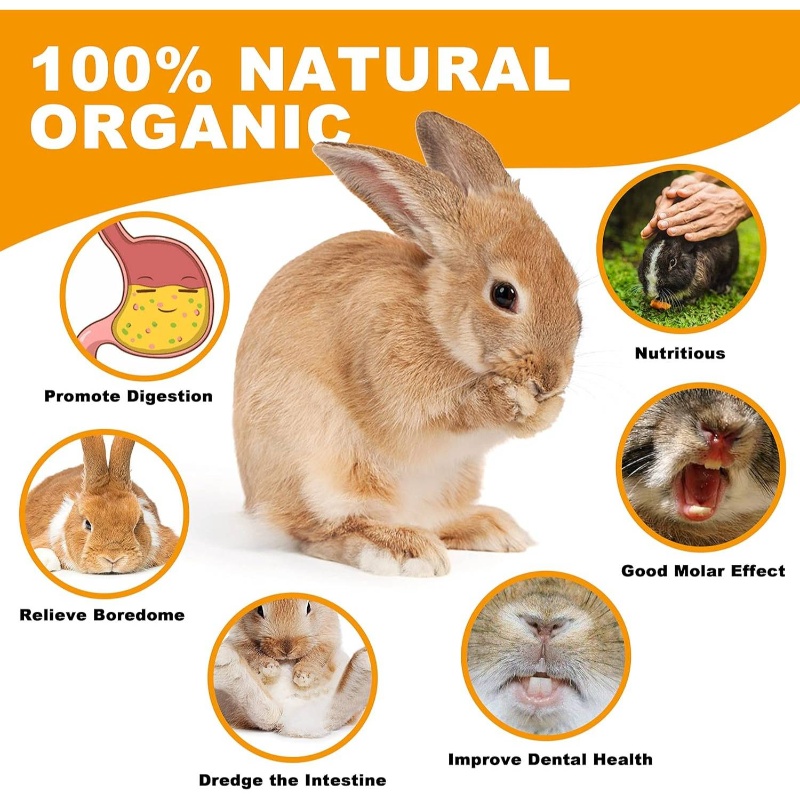 Natural Timothy Toys, 11pcs Snacks Chew Toys, Pet Chew Treats Guinea Pigs, Rabbits, Bunny, Chinchilla, Hamsters, with Timothy/Loofah/Carrot Hanging Toys