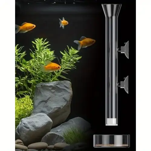 Feeding Ornamental Fish With Feeding Dishes: Expert Tips for Success