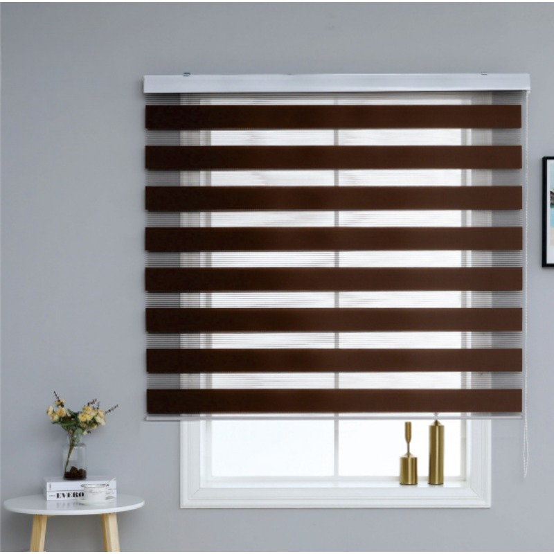 TEMU Blinds Roll Curtain Blinds Blackout Double-layer Roller Shutter Windows Home Office Blinds