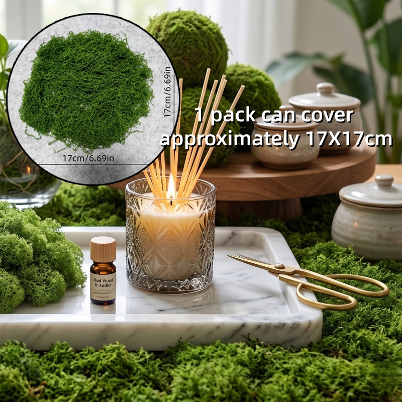 TEMU Láminas de musgo artificial realista para decoración DIY de interior/exterior - Musgo para terrarios, acuarios, macetas y paisajismo - Fácil
