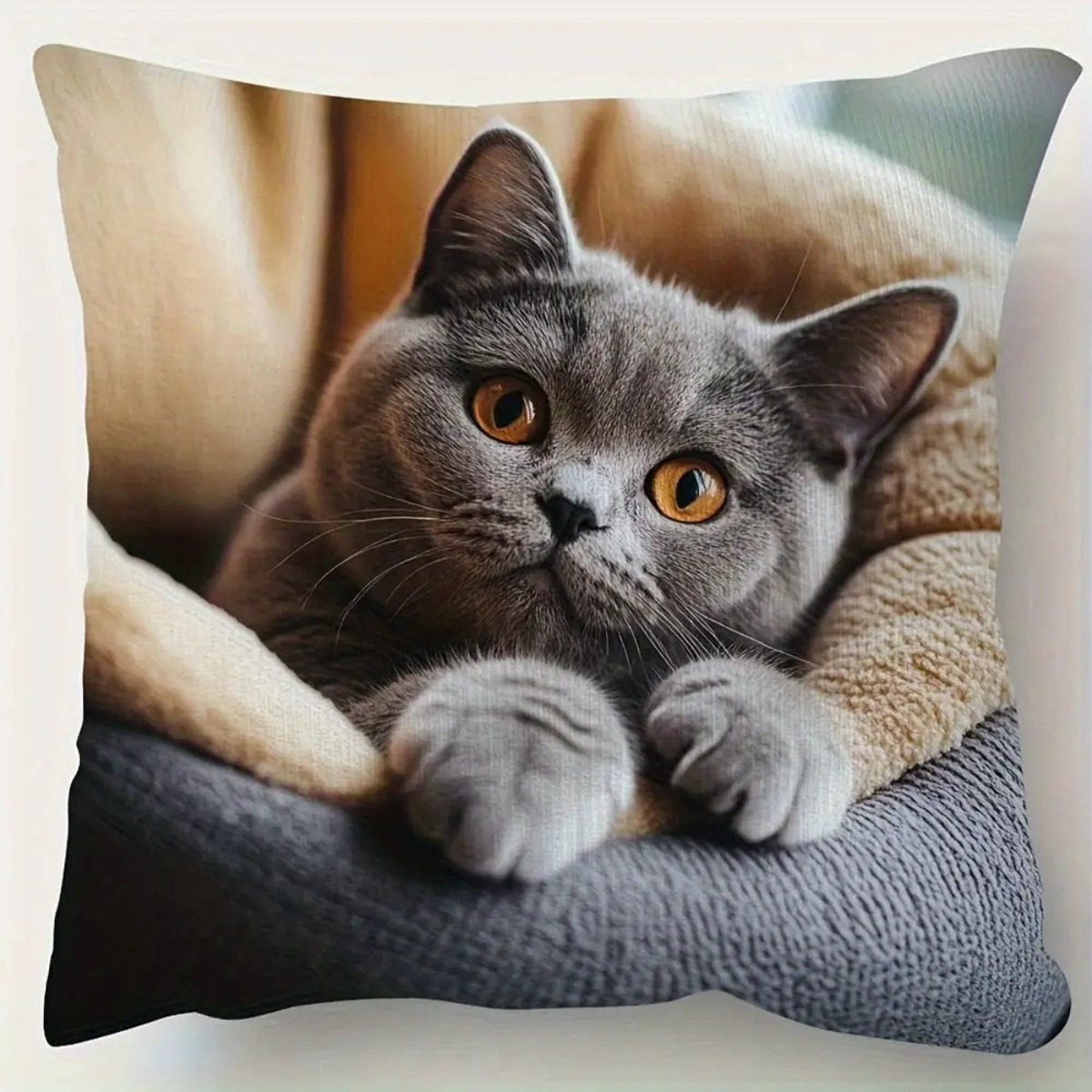 TEMU Coussin décoratif 1 pièce avec motif de chat British Shorthair, style moderne, tissu peluche court et lisse, motif imprimé sur une seule face,