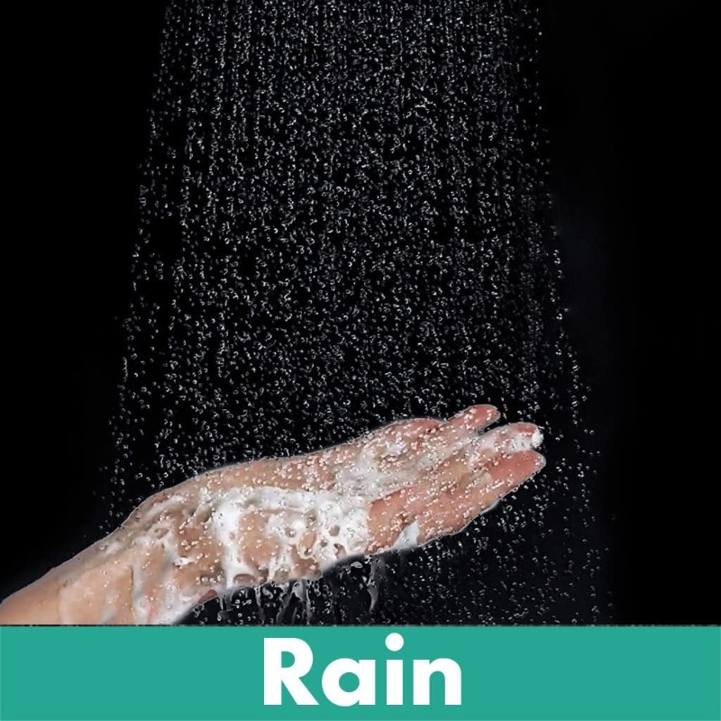 Crometta Water-Conserving Shower Head with 2 Spray Options