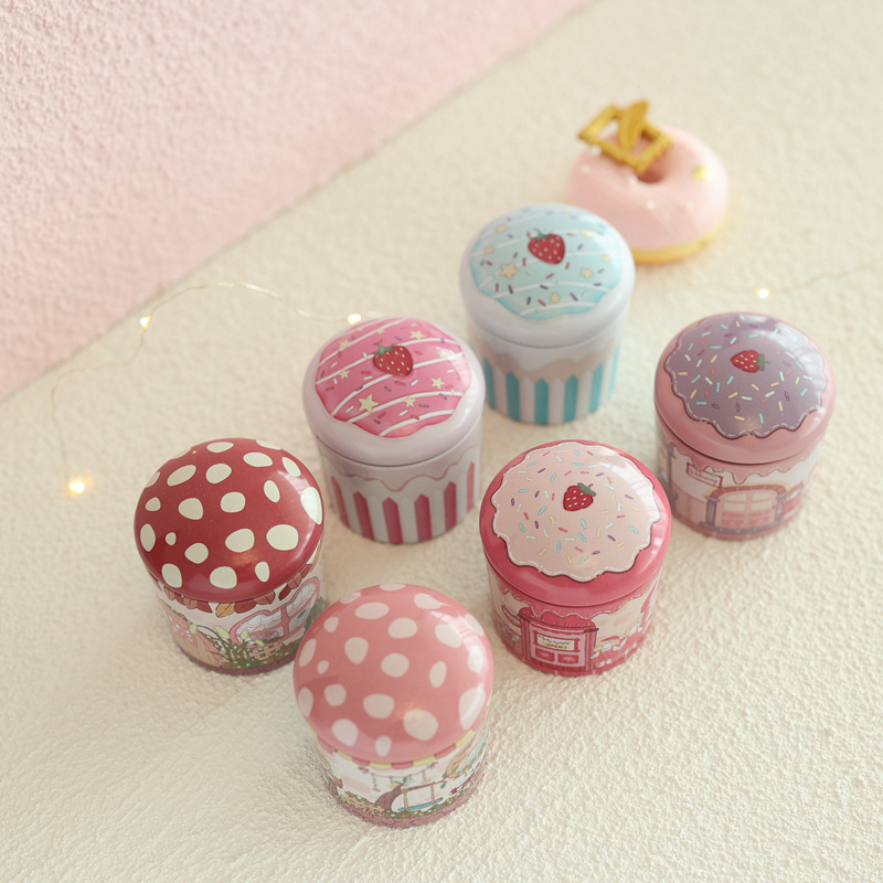 Mini Metal Decorative Can, Multifunctional Storage Box