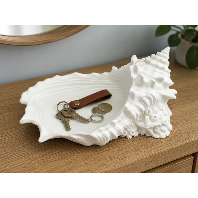 TEMU Seashell Tray Coastal Decor, Shell Storage Dish For Entryway Table, Nautical Jewelry Plate, Bookshelf Ornament (non-food Contact)