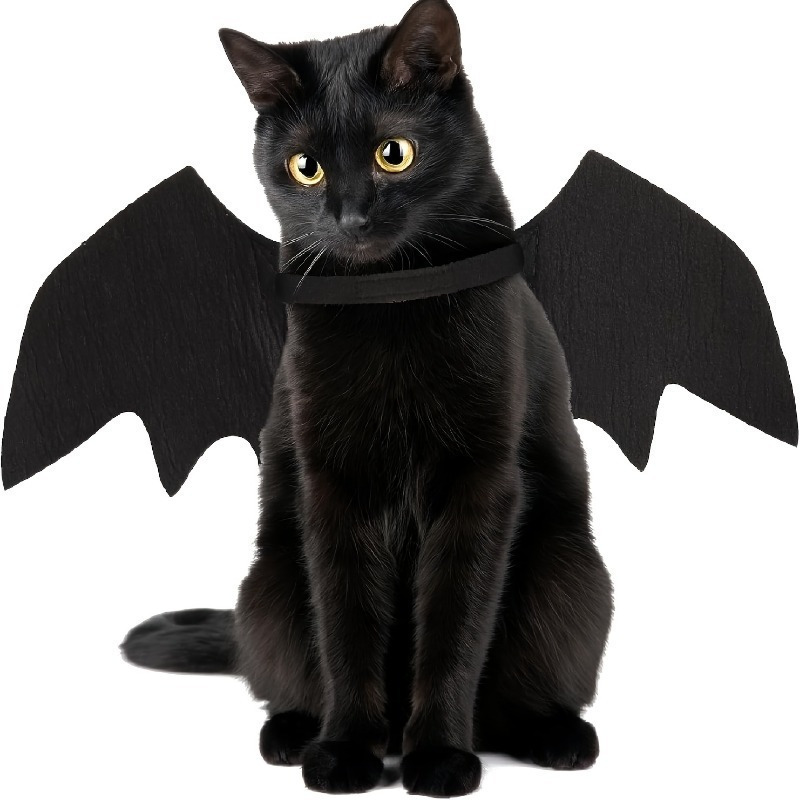 XFSRG Ailes De Chauve-Souris Pour Chien Costume D'halloween