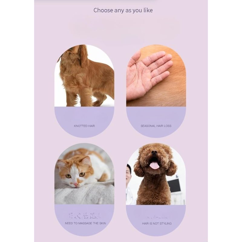 All-In-One Pet Grooming Brush - Deshedding Cats And Dogs, Massaging Slicker Brush for Removing Loose Undercoat, Detangling Mats - Gentle Dog Brush for Short And Long Hair Pets with Close-Spaced Pins - Image 5