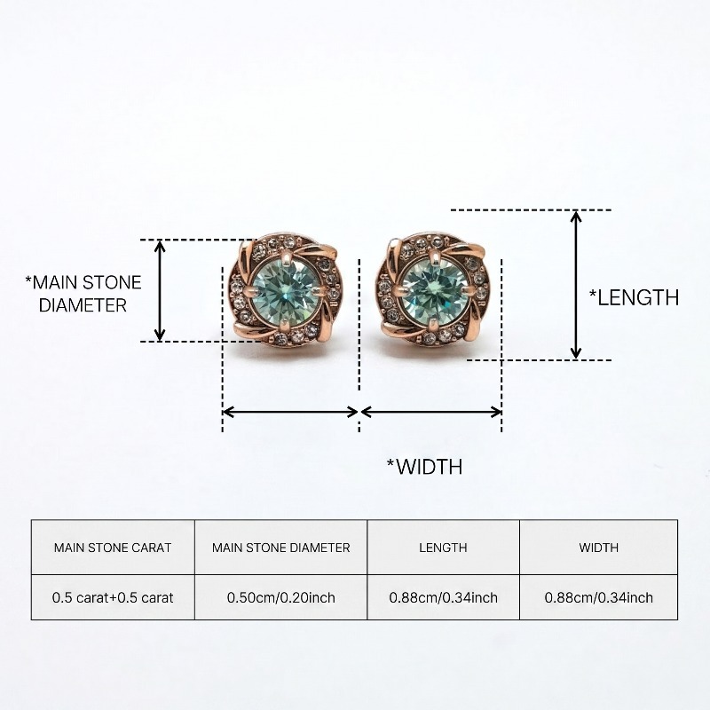 Women's 0.5 Carat Stainless Steel Moissanite Earrings
