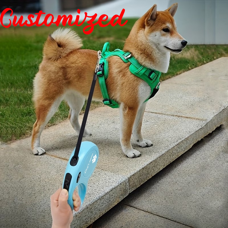 Personalized Paw Print Pattern Automatic Retractable Leash, 3m Length