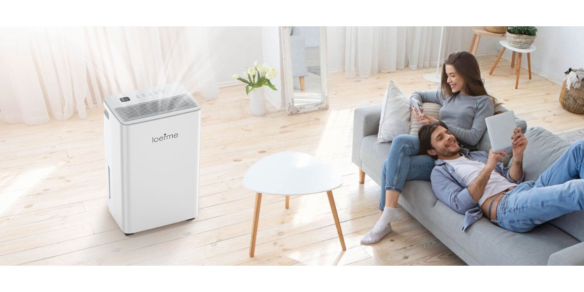 Електрически влагоуловител Loefme 16L/24H | Дигитален дисплей за влажност, 24-часов таймер, непрекъснато оттичане, влагоуловител за стая, сушене на пране, подходящ за дома/келета, захранван от 220V-240V