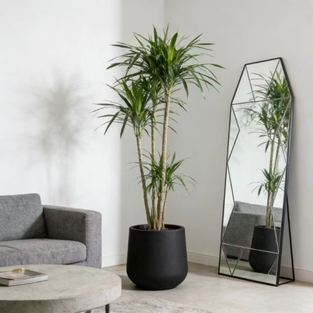 Large Nordic Modern Black Oval Planter Pot - Heavy-Duty Thickened Plastic Suitable for Indoor/Outdoor Use, Large -Standing Flower Pot For, Bonsai, Housewarming Gift, Wedding & Balcony Decor gardening gift home decor