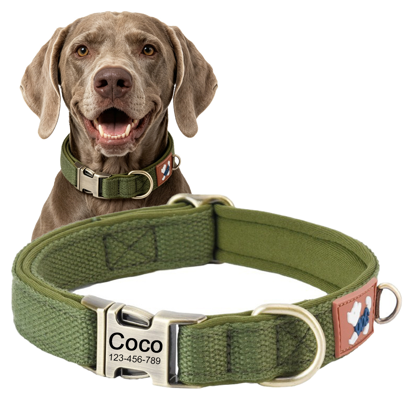 Vintage-Style Dog Collar, Wear-Resistant and Durable