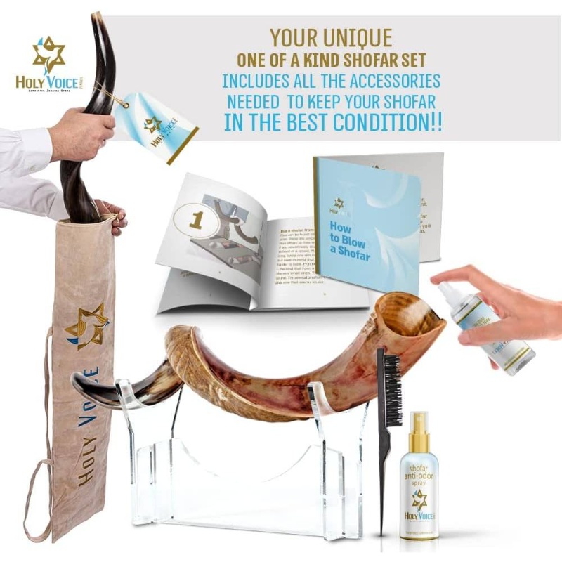 Kosher Kudu Shofar Horn from u2013 Traditional Half - Polished Yemenite Shofar Includes Carrying Bag, Brush and Blowing Guide - Easy Blowing Ancient Musical Instrument 2428, Spiritual Instrument, Religious Ceremony, Handcrafted Design, Artisan Made, Durable Construction, Rituals And Ceremonies