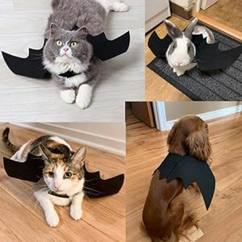 Halloween Bat Wing Costume for Cats & Small Dogs - Adjustable & Comfortable Spooky Bat Wings Outfit with Closure, Lightweight with Padding, All-Season Wear for Kittens & Puppies, Easy to Put On & Take Off, Perfect for Halloween Parties & Costume Events (Black) - Ideal Gift for Boys & Girls, Fits Small to Large Pets, Adorable Bat Wing Design for Year-Round Use, Secure Fit with Chest & Neck Straps, Halloween Costumes, Dog Costume Halloween, Halloween Costumes for Cats,