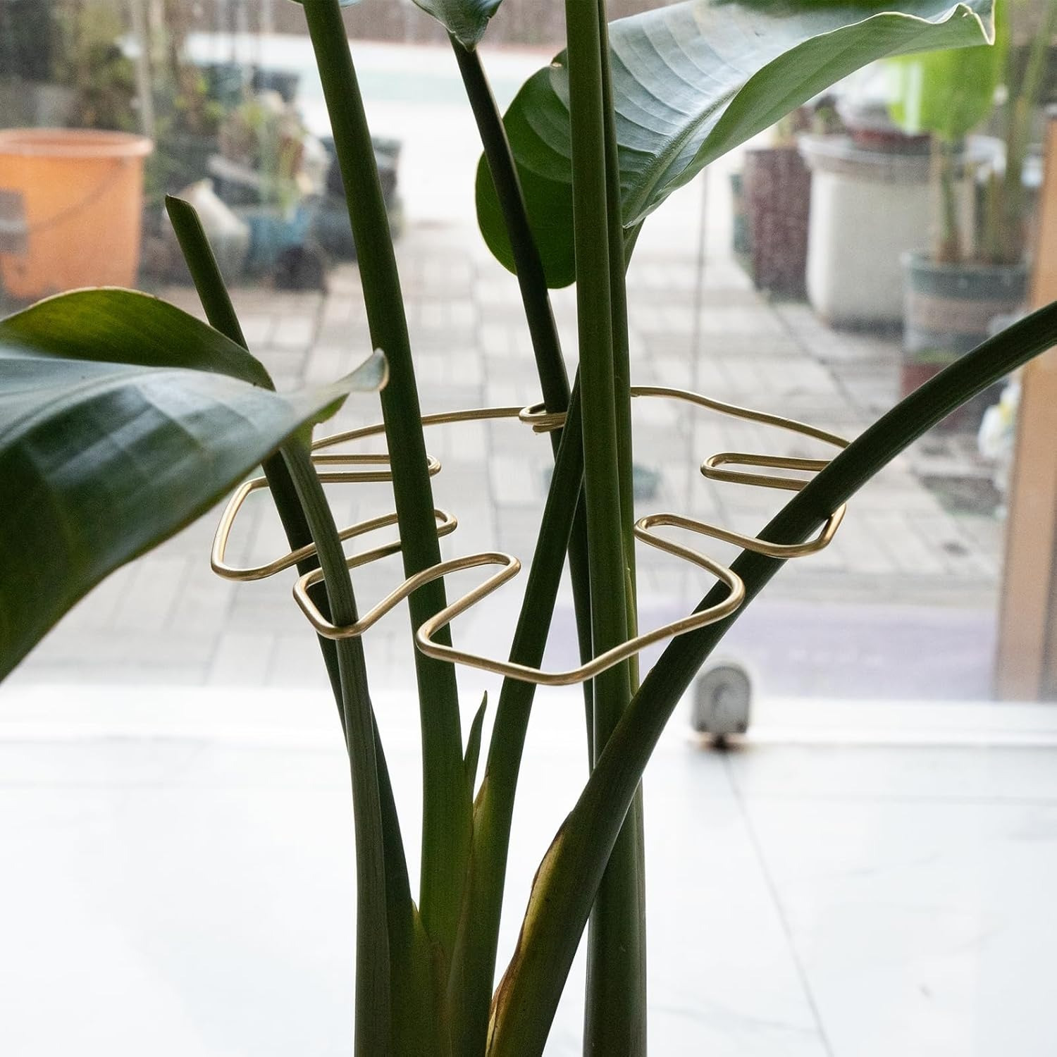plant stem support durable monstera stabilizer - Temu Bahrain