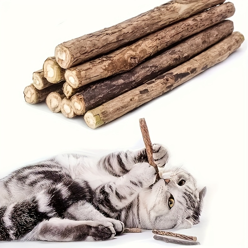 Ensemble de 40 pièces Chat Morsure - Jouet de santé dentaire et de relaxation avec parfum frais, Sûr et non toxique, Aucune pile requise, Convient aux jeux d'intérieur et aux cadeaux apaisants pour multi-chat