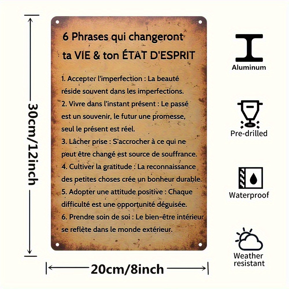 TEMU Plaque Métal Vintage Français 2D - 8"x12" | Décoration Murale pour Maison, Garage ou Café | Cadeau d'Anniversaire Idéal | Art Mural Rétro en