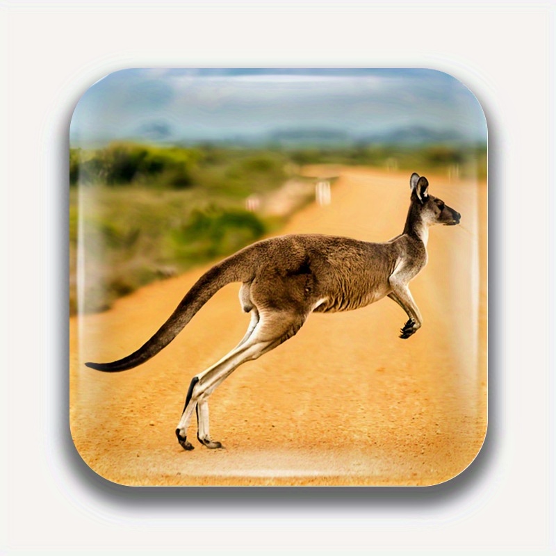 TEMU 1pc Famous Magnetic Fridge Sticker - Kangaroo In , Metal Square Decor For Refrigerators, Whiteboards, Photos, And More - Perfect Gift For Home,