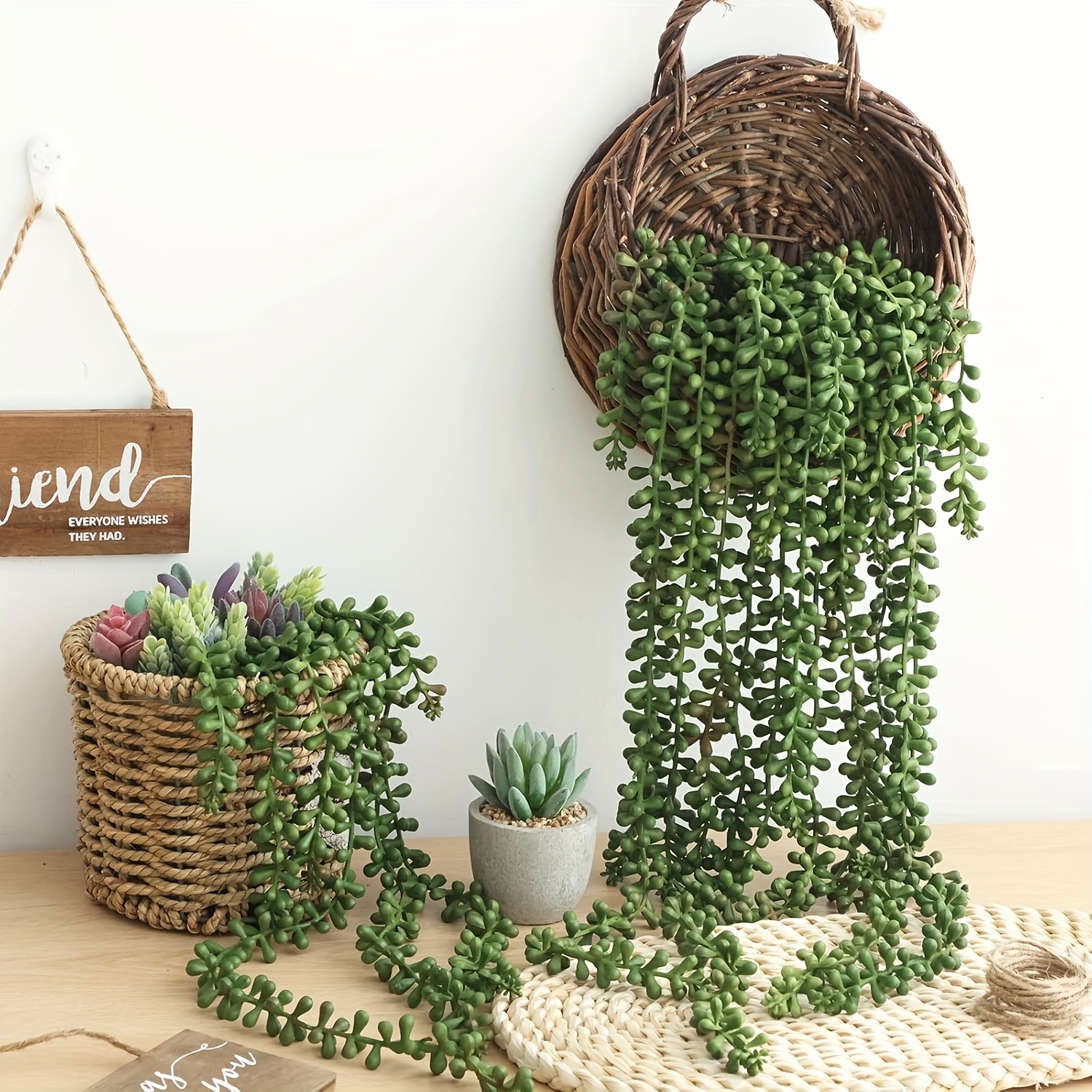indoor plant care guide Houseplant care cards