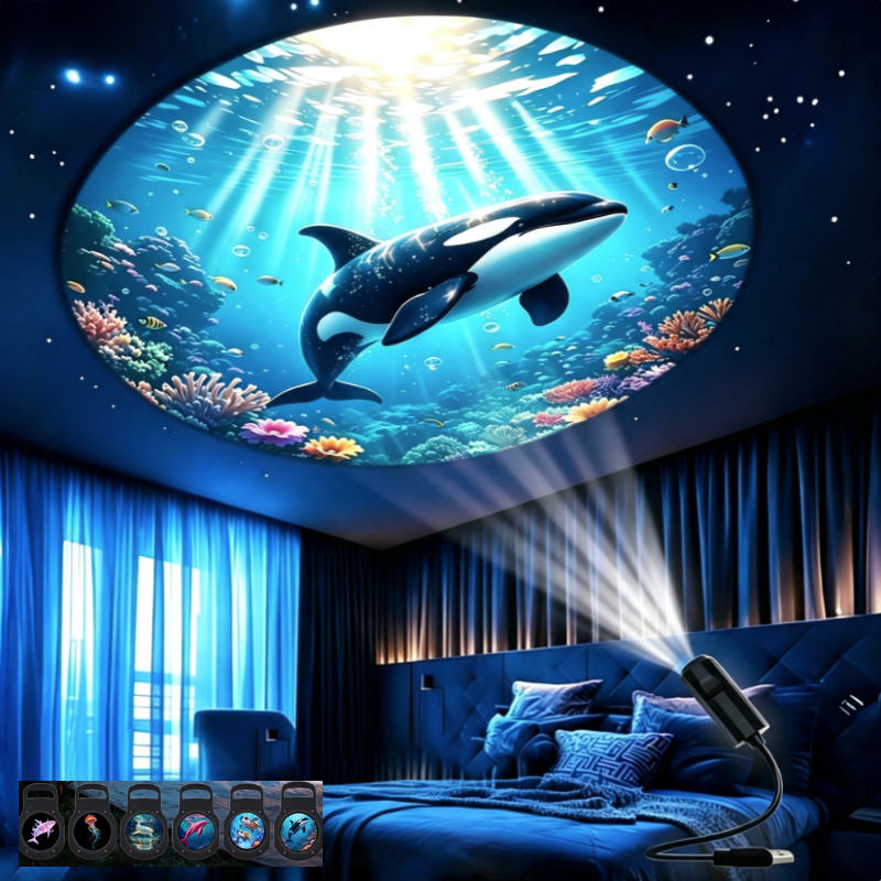 TEMU Lampe de projection décorative USB , décoration de plafond et veilleuse de chevet, veilleuse portable USB avec 6 lames de interchangeables,