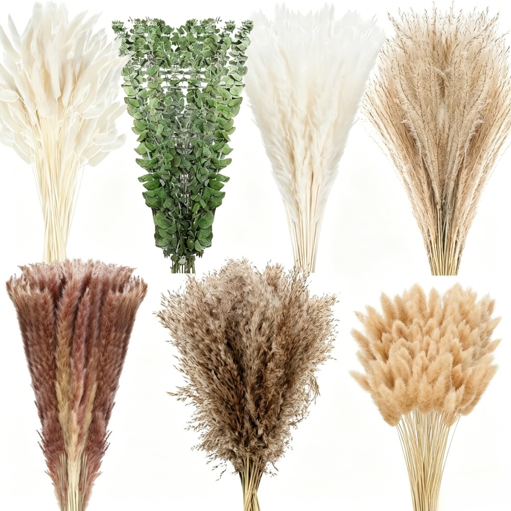 Image of 100pcs Dried Flower Pampas Bunny Rabbit Tail Grass Eucalyptus Bouquet Boho Home Vase Room Living Seasonal Decor Dry Flowers Chic Wedding Party Decoration Festival Gift