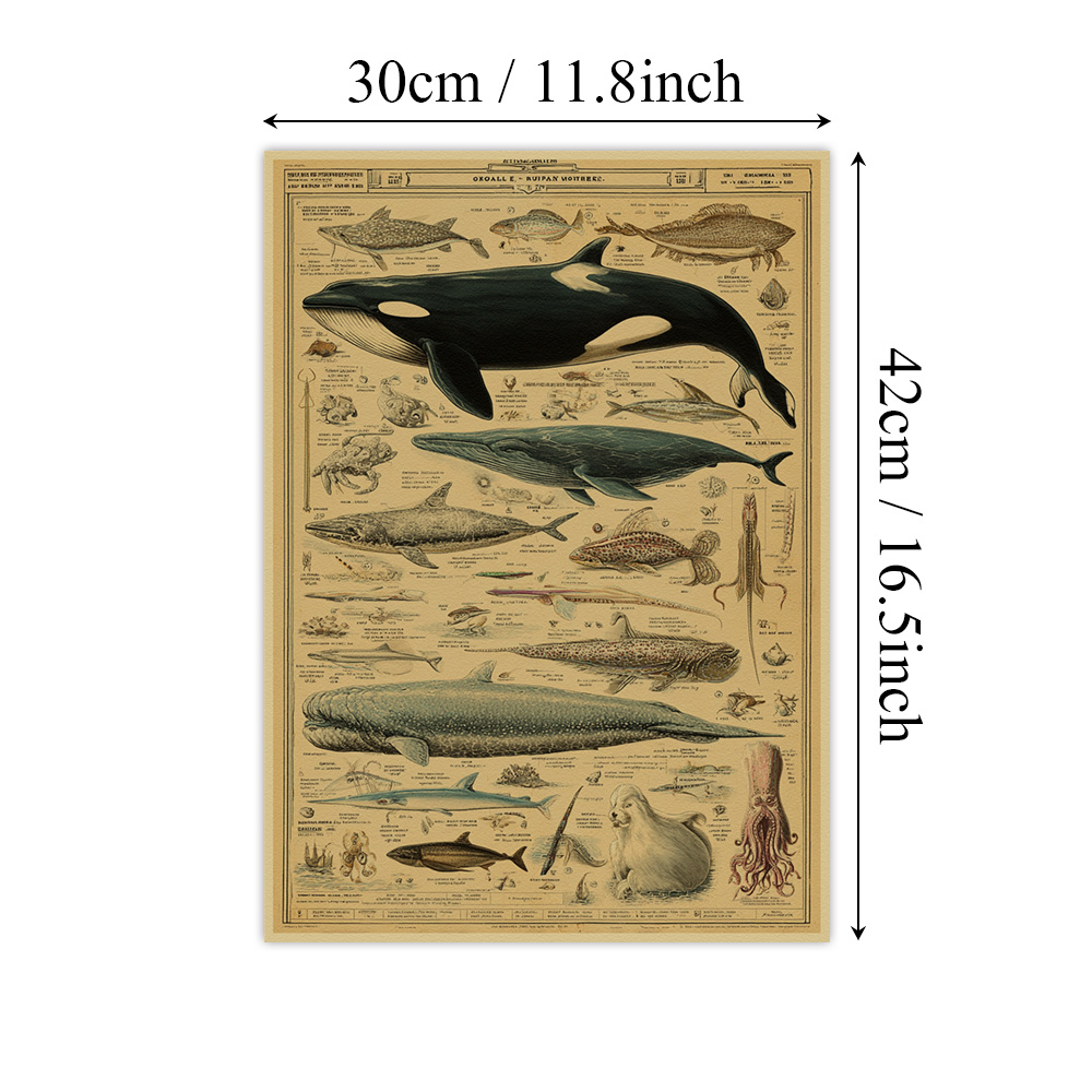 TEMU 1pc Paper Posters, Whale Wall Art, Painting Paper Poster,vintage Style Prints Paper Poster,marine Creatures Home Wall Decor,vintage Wall Art,