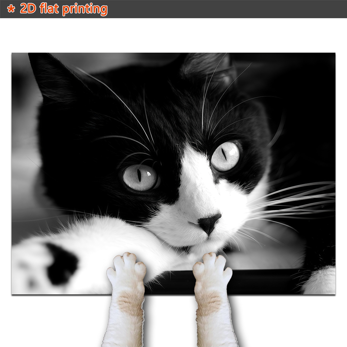 TEMU 1pc, 2d Flat Pet Feeding Mat - And White Cat Print Design, Pet Feeding Mat, Non-slip Mat, Bowl Mat For Dog Food And Water, Dog Water Dispenser