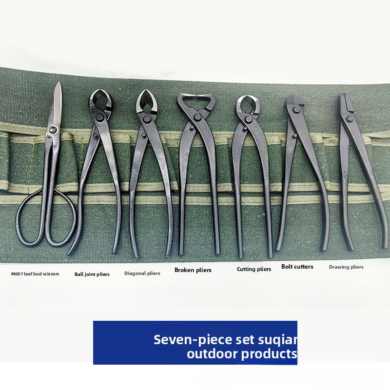 bonsai tools sold on Temu United States