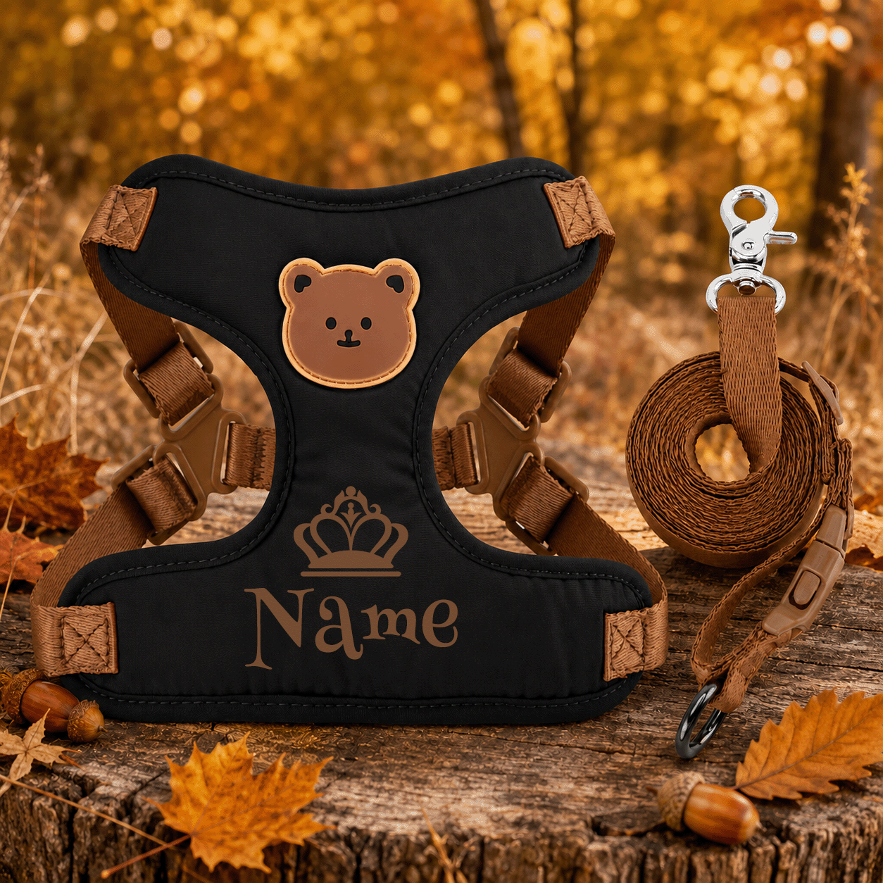 Personalized Name Pet Harness and Leash System for Small Pets