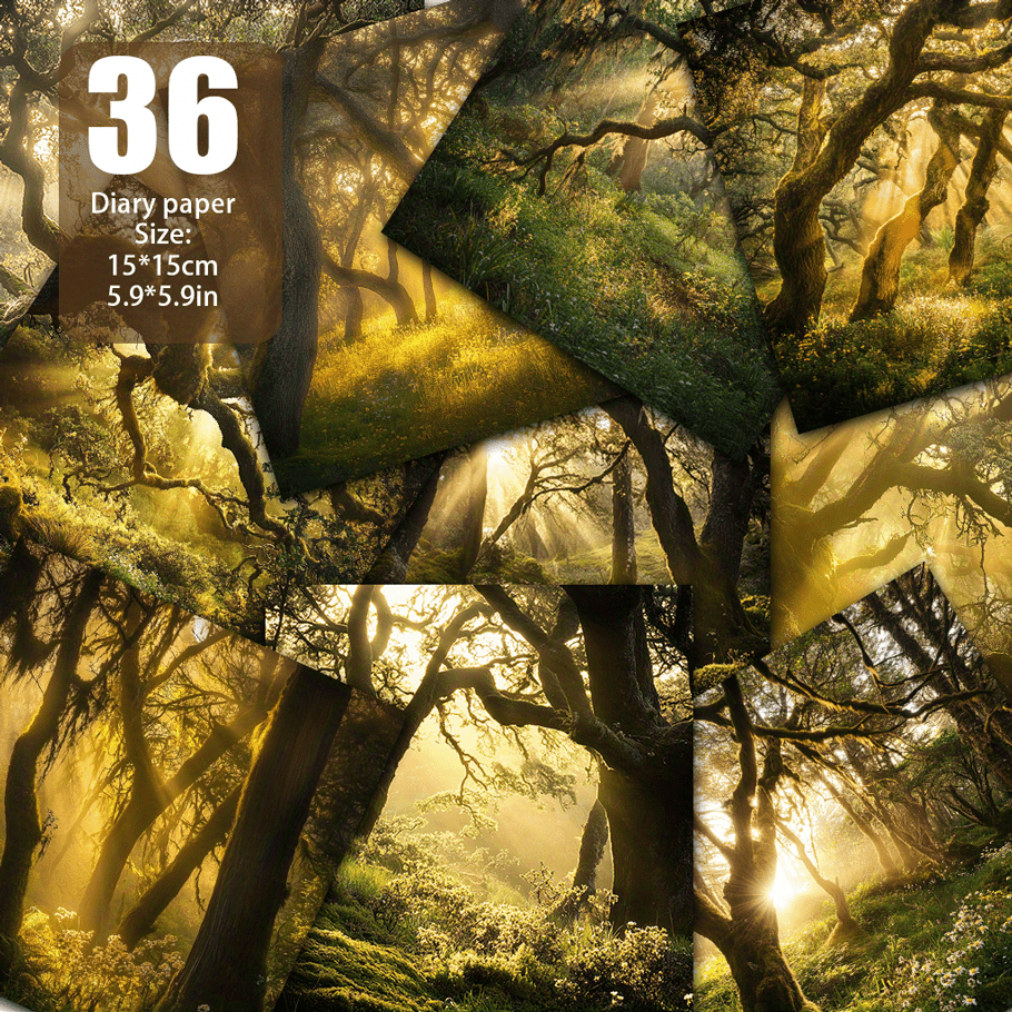 Image of Golden Sunlight Filtering Through Branches In , Warm Light Embracing Soft Moss And Wildflowers, Mysterious Atmosphere With , Paper, Handmade Paper