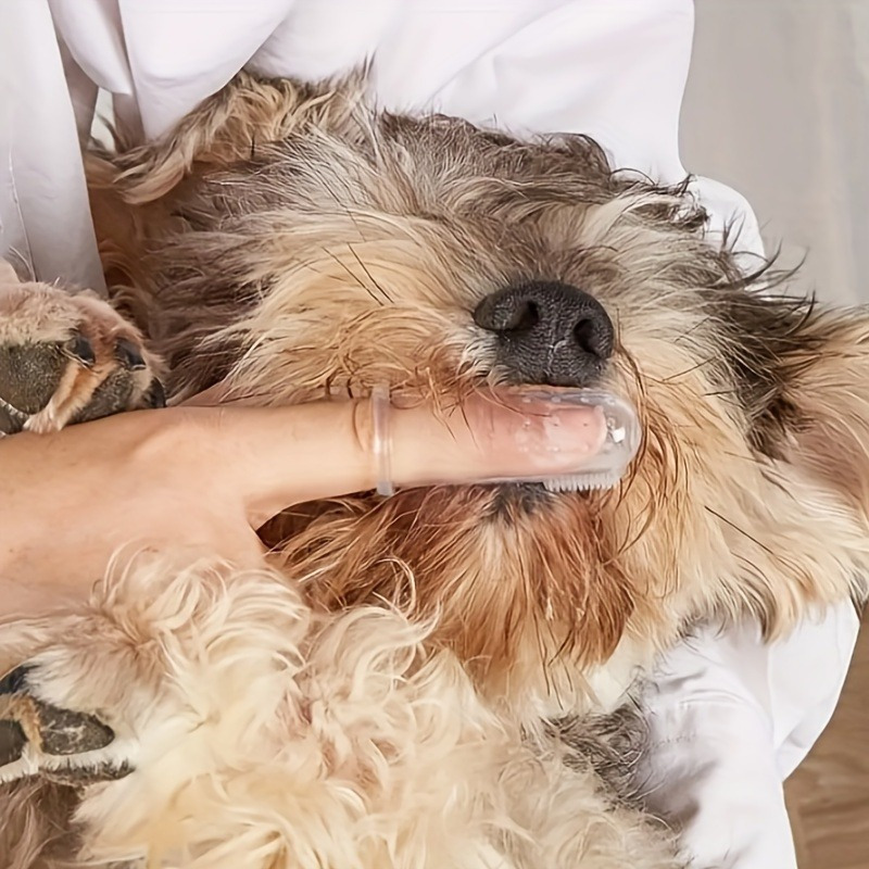   finger toothbrushes effective teeth cleaning   dogs and cats Product details 2