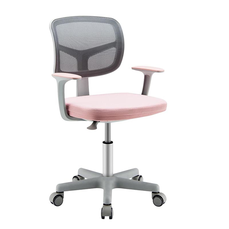 Image of Kids Desk Chair | Height Adjustable Children Study Chair With Armrests And Y-shaped Support, Student Computer Chair With Universal Wheels, Memory Foam, Pink - Goflame