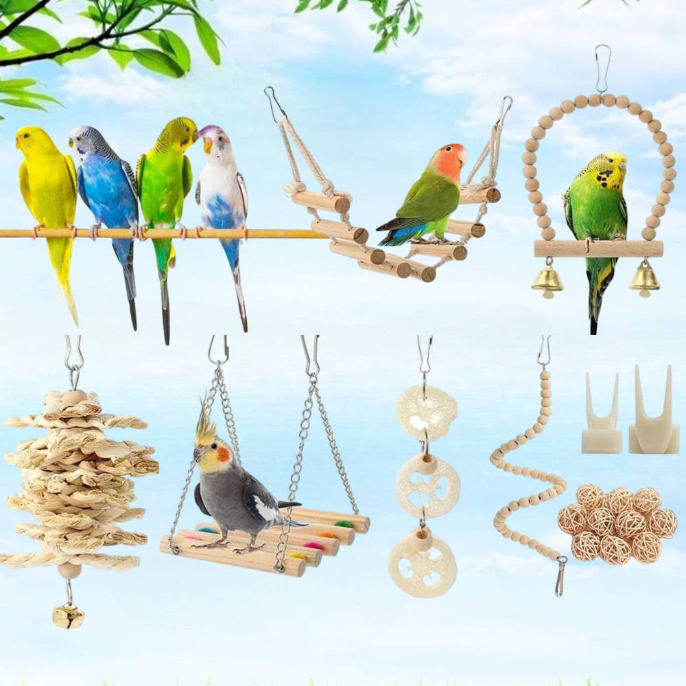 TEMU 18 pièces Jouets en bois pour oiseaux, convient aux , nymphekors, ondulées et conures - Échelle perchoir oscillante avec échelles suspendues,