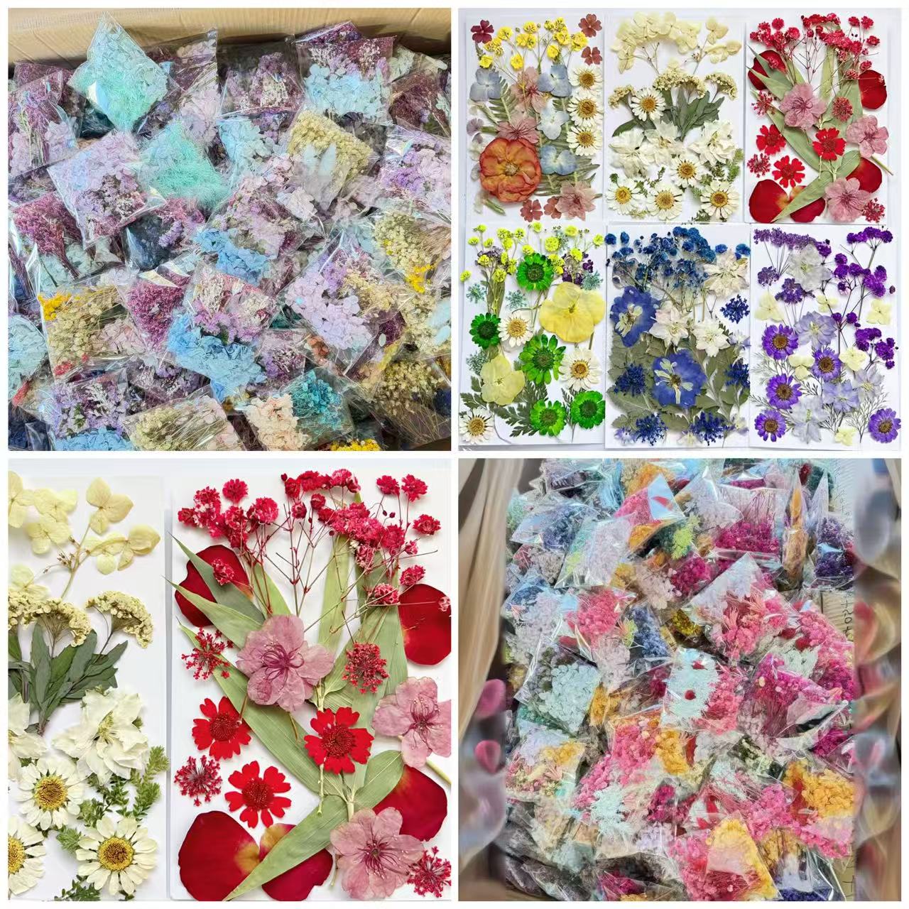 a pack of   mixed dried flowers real pressed plant specimens with assorted leaves suitable for diy crafts jewelry making scrapbooking candle decoration and   filler creative aesthetics suitable for  