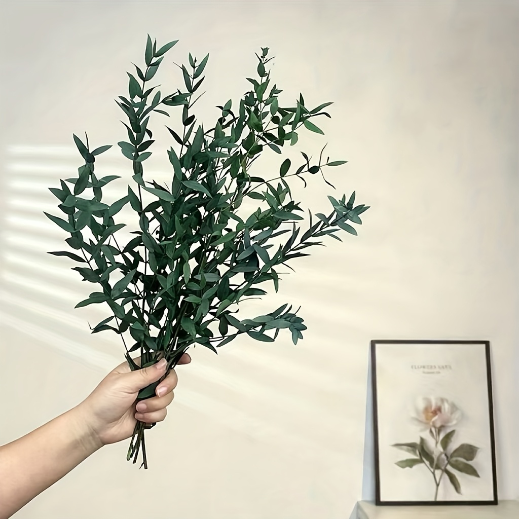 Image of Set Of 8 Eucalyptus, Perfect For Bohemian Decor, Bathroom Showers, Wedding Decorations, Home And Office Styling, Projects, Photography Additions, Thanksgiving, Valentine's Day, And Mother's Day