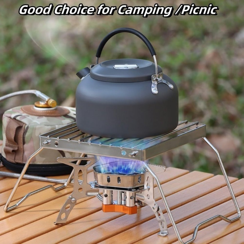 Portable Stainless Steel Camping BBQ Grill, Foldable Barbecue Grill, Suitable for Outdoor Camping, Picnics, and Fishing, 2 Styles Available, Non-Contact Food