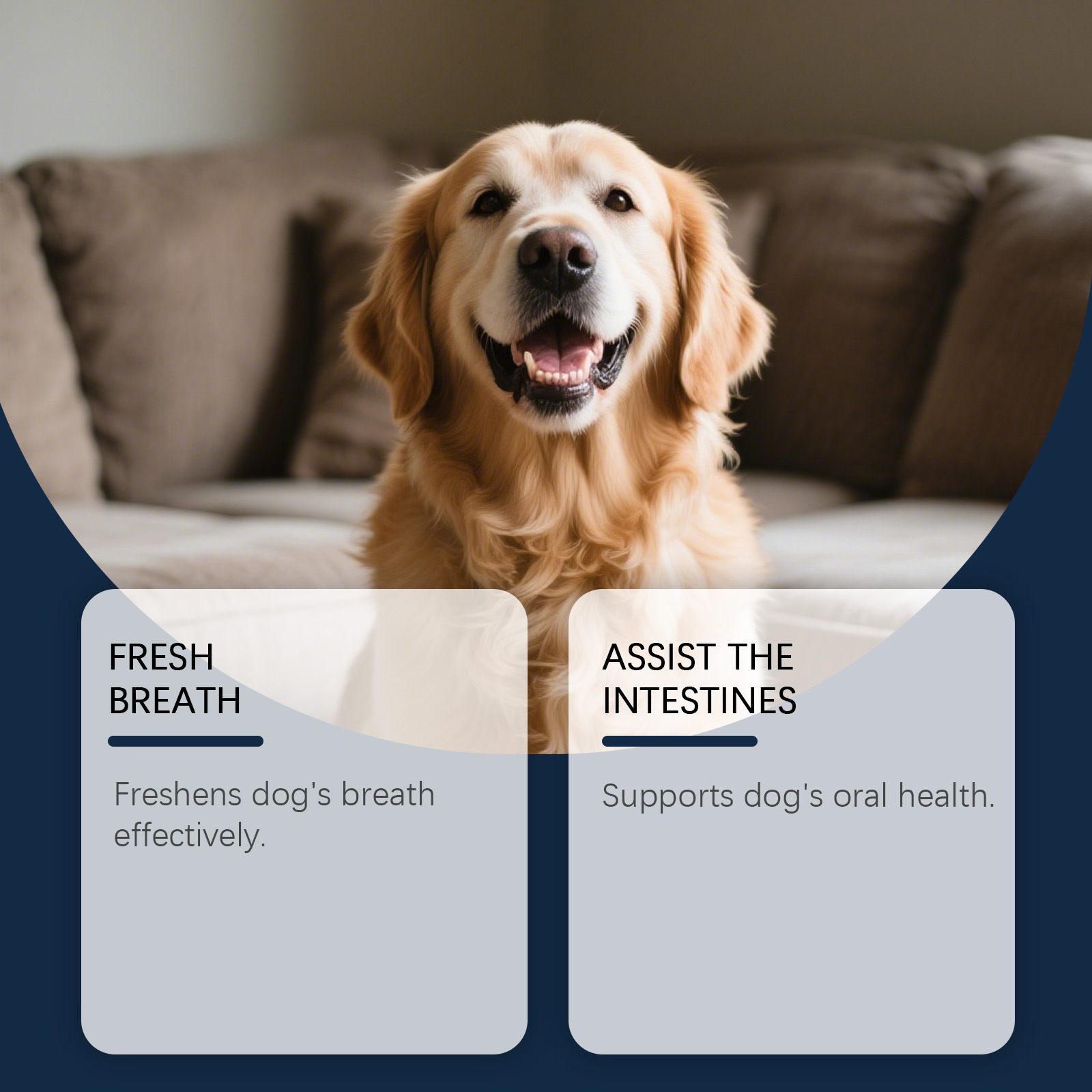 Kriath Fresh Breath Dental Care Water Additive, 100ML/3.38FL.OZ - No Brushing Required, Gentle Formula for Dogs & Cats, Fight Tartar, Freshen Bad Breath, Clean Teeth, Professional Oral Care Essential for Healthy Gums & Fresh Mouth in Pets