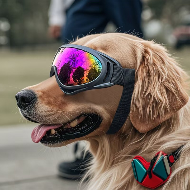 E-shop Hundebrille, winddicht, verstellbares Riemen-Design, geeignet für Motorradfahren/Fahren//Wandern/Schwimmen, kompatibel mit allen Hunderassen,