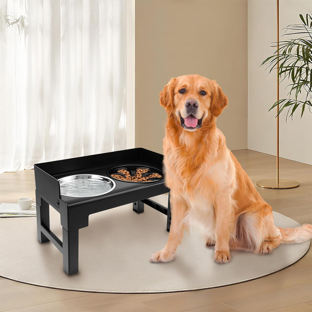 E-shop Verstellbare Höhe 3-in-1 Hundefutterschale mit Spritzschutzrand & rutschfester Basis, robuste Edelstahl/Kunststoff-Haustierschale geeignet für