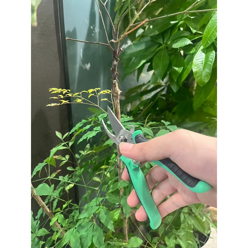 TEMU 2026 Upgraded Garden Shears, Super Convenient! Green And Black Handles For Comfortable Grip, Spring- For Easy Opening And Closing, Sharp For