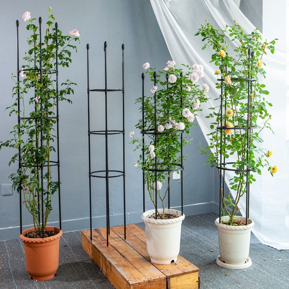 indoor plant trellis sold on Temu United States