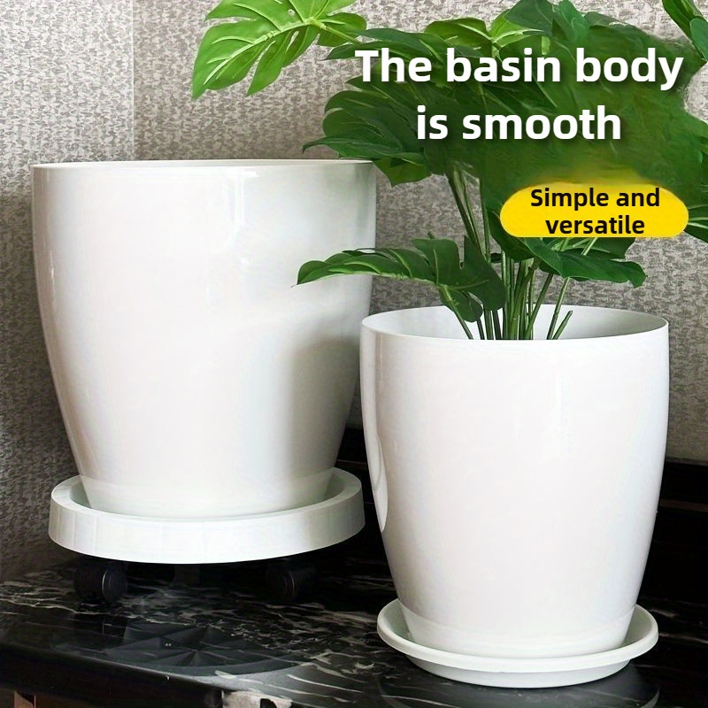 Promo Arbustes De Haie Parfumée En Pot De 4/4,5 L Chez Bricomarché