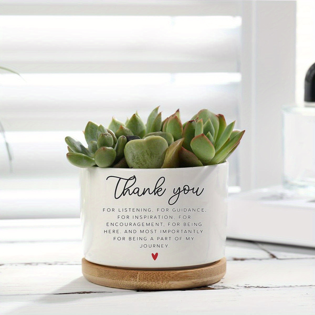 TEMU Vaso Regalo in Ceramica "Grazie" - Minimalista per Donne, Colleghi Insegnanti e Ostetriche con Foratura di Drenaggio /Esterna Decorazione Casa o