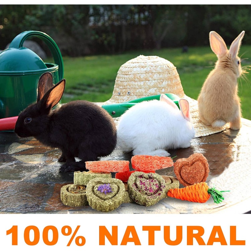 Natural Timothy Toys, 11pcs Snacks Chew Toys, Pet Chew Treats Guinea Pigs, Rabbits, Bunny, Chinchilla, Hamsters, with Timothy/Loofah/Carrot Hanging Toys